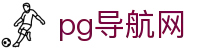 pg导航网 - (中国)北京市pg导航网公司欢迎您